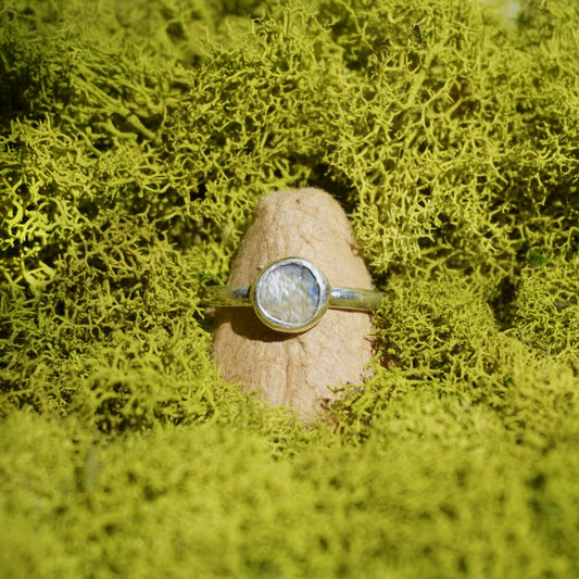 Abalone Shell Ring - Size 12.5