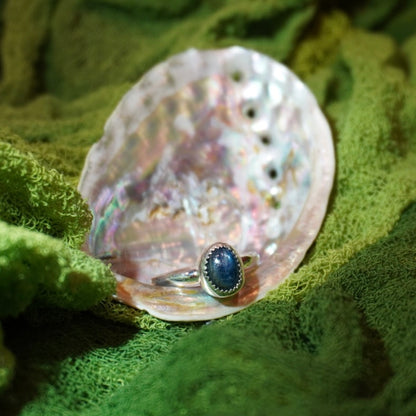 Kyanite Ring - Size 6.75