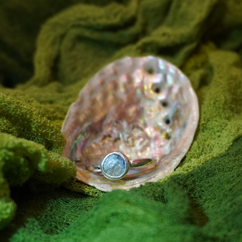 Abalone Shell Ring - Size 12.5