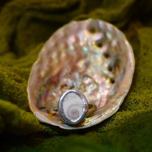 Shiva Shell Ring - Size 8.5
