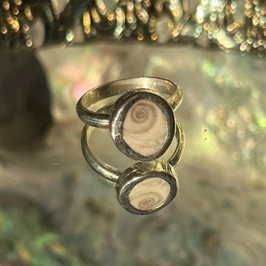 Shiva Shell Ring - Size 8.5