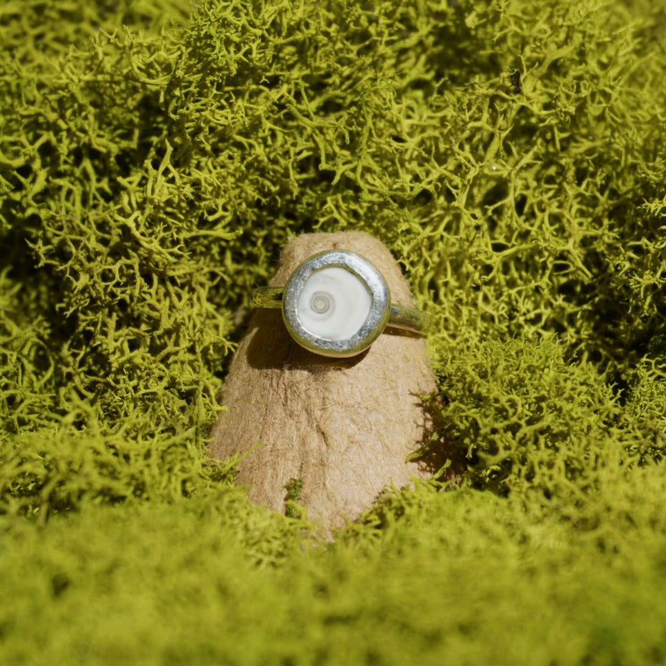 Shiva Shell Ring - Size 4
